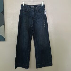 NWT GAP Women’s high rise wide leg jeans size 8/29 Regular